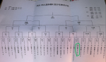2026年4月26日（日）2026　NSBL旗争奪第42回少年野球大会